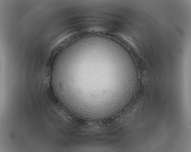 X0000113781015200910071219