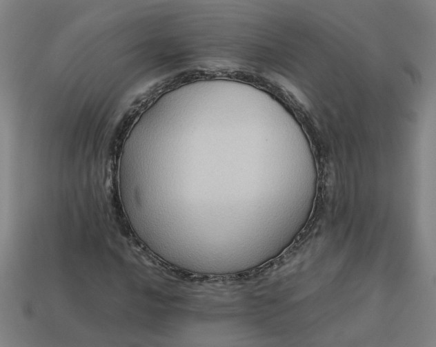 X0000113781016200910071219