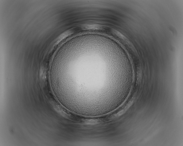 X0000113781017200910071219