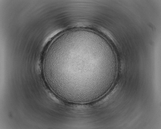 X0000113781018200910071219