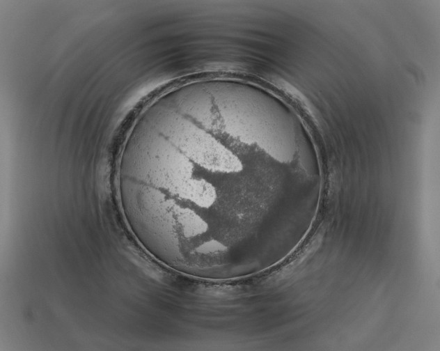 X0000113781019200910071219