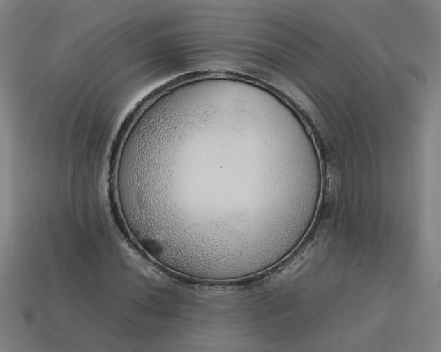 X0000113781020200910071219