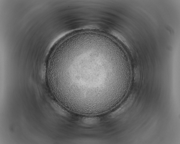 X0000113781021200910071219