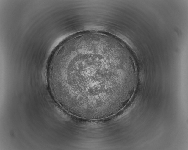 X0000113781022200910071219