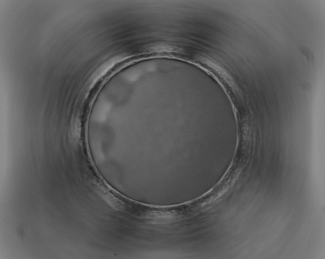 X0000113781023200910071219