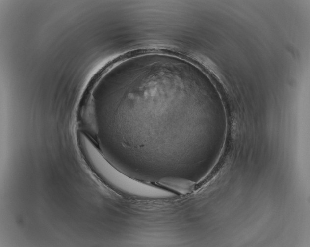 X0000113781024200910071219