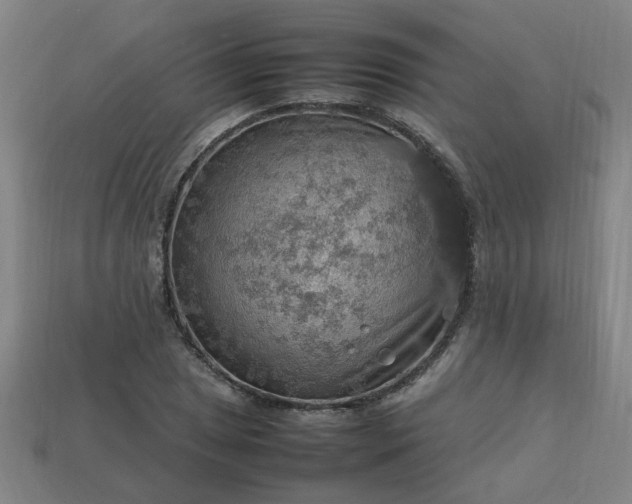 X0000113781025200910071219