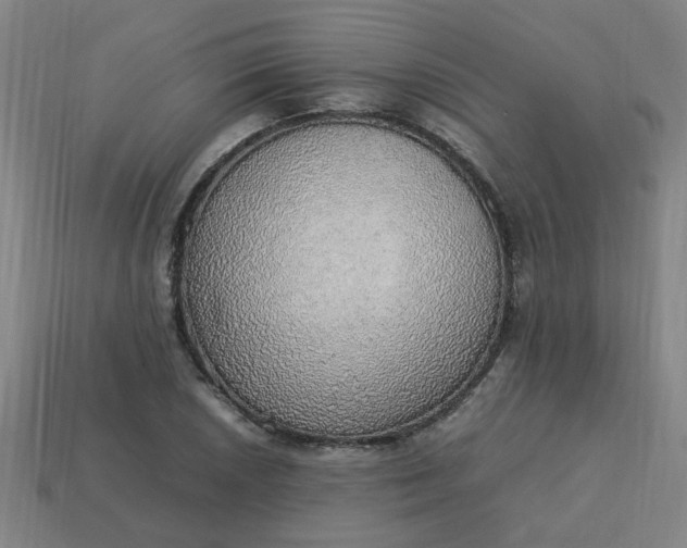 X0000113781026200910071219