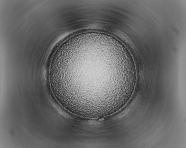 X0000113781029200910071219