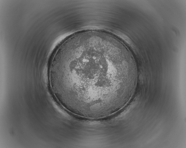 X0000113781030200910071219