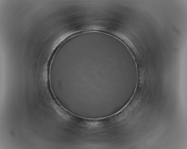 X0000113781031200910071219