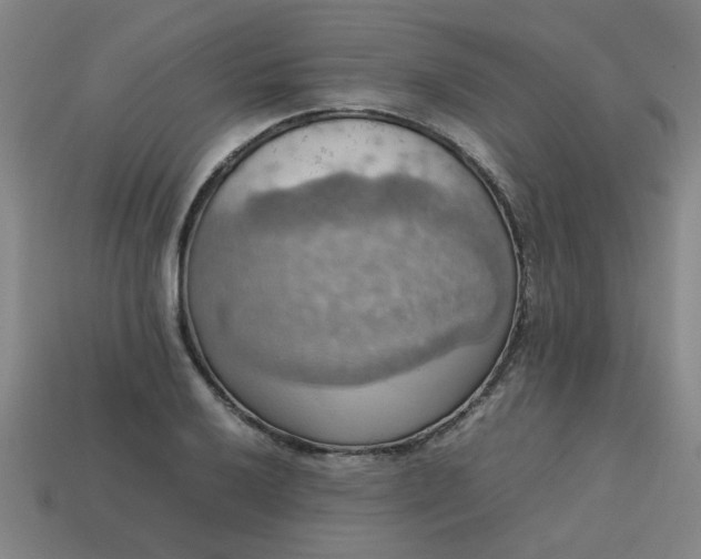 X0000113781032200910071219