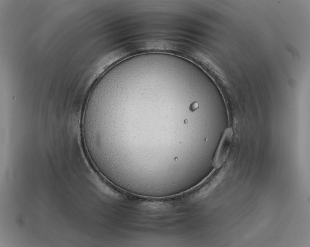 X0000113781033200910071219