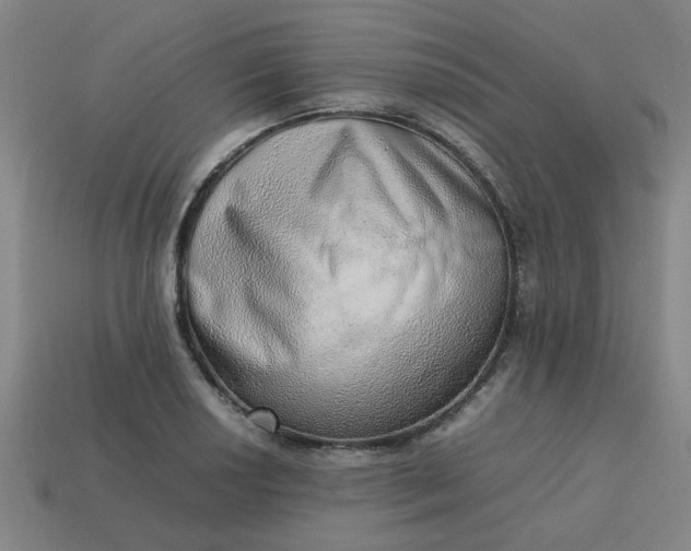 X0000113781034200910071219