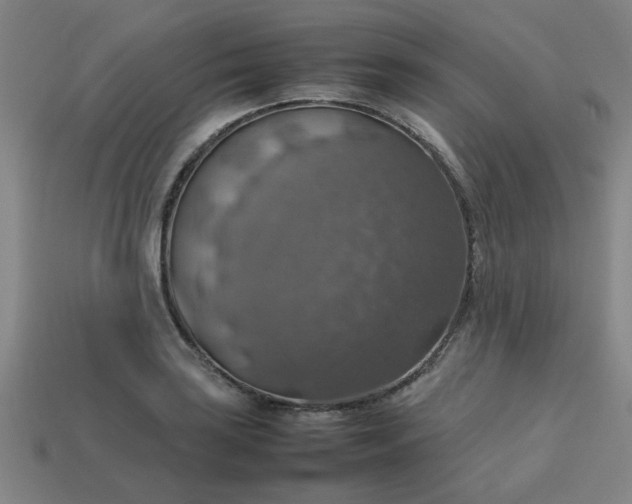 X0000113781035200910071219