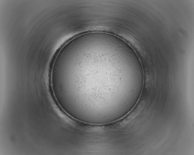 X0000113781038200910071219