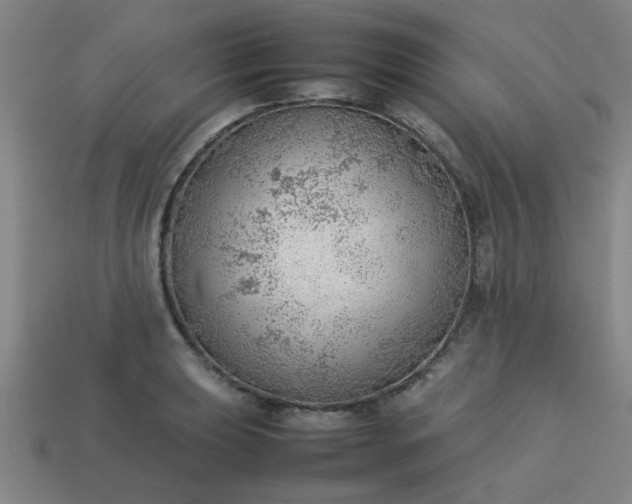 X0000113781039200910071219