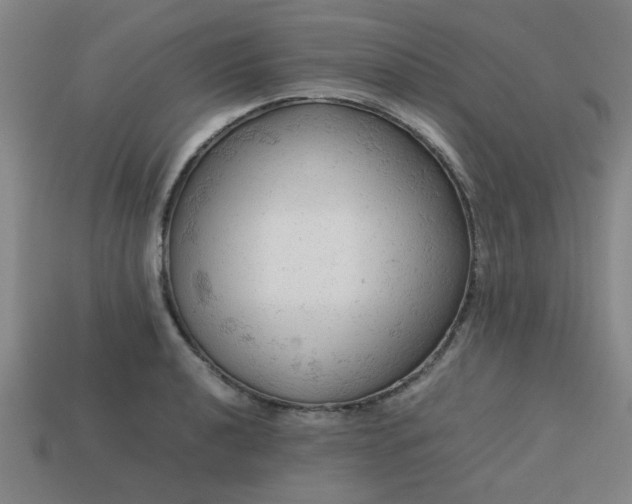 X0000113781040200910071219