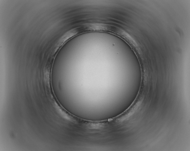 X0000113781041200910071219