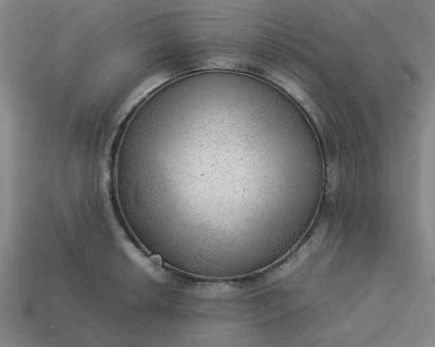 X0000113781042200910071219