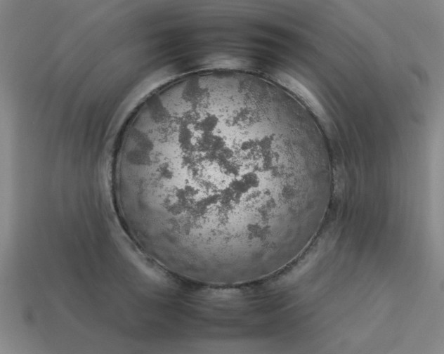 X0000113781043200910071219