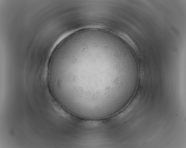 X0000113781044200910071220