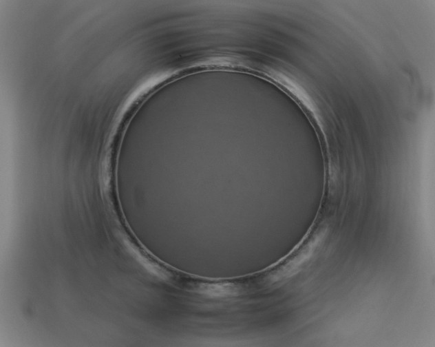 X0000113781045200910071220