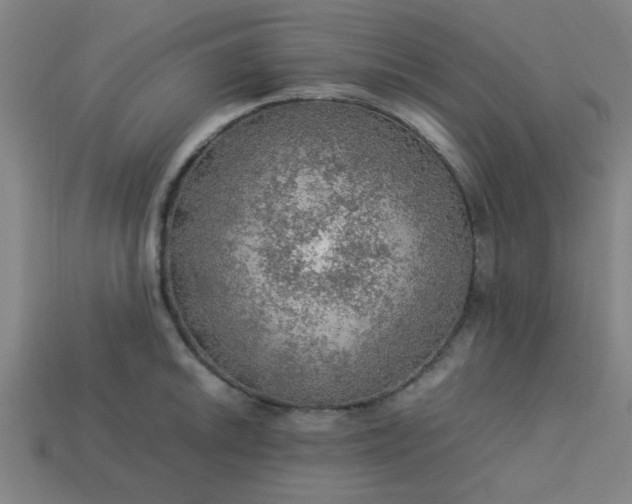 X0000113781046200910071220