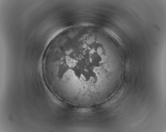 X0000113781047200910071220