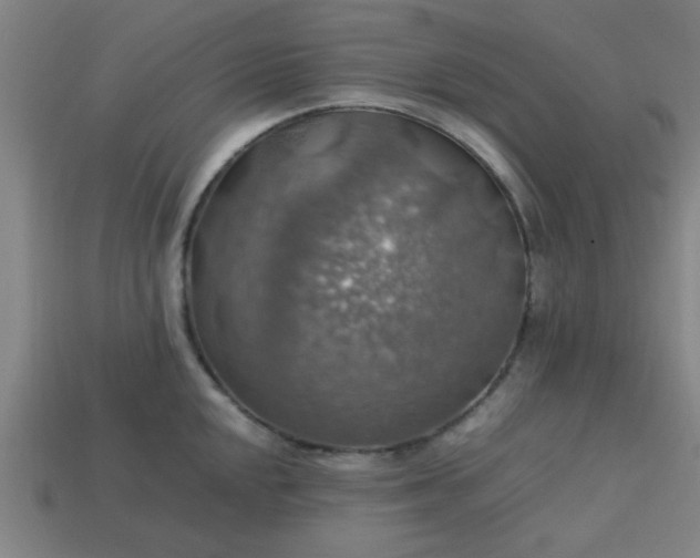 X0000113781048200910071220