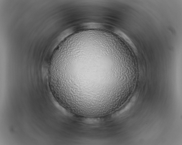 X0000113781049200910071220