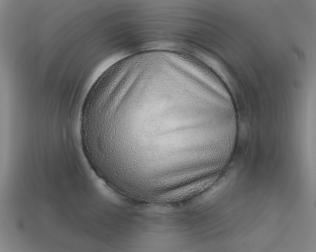 X0000113781050200910071220