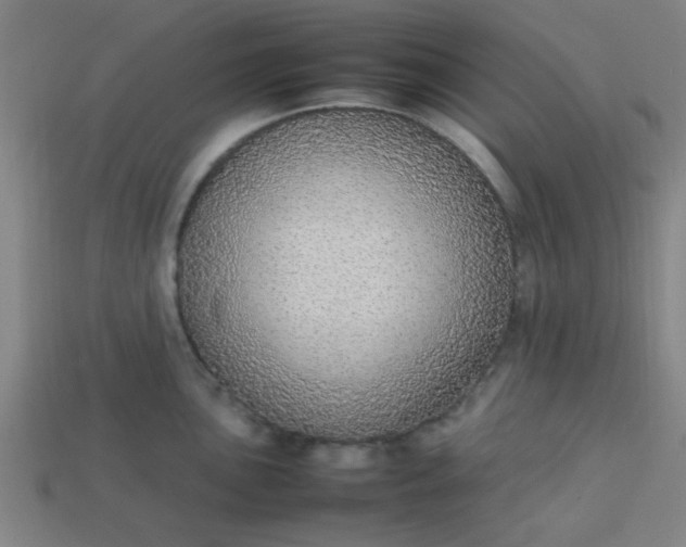 X0000113781051200910071220