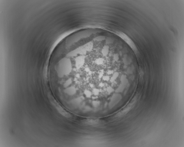 X0000113781052200910071220