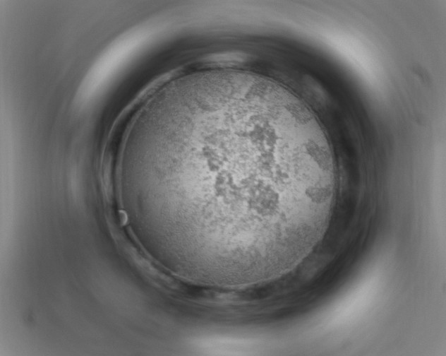 X0000113781054200910071220