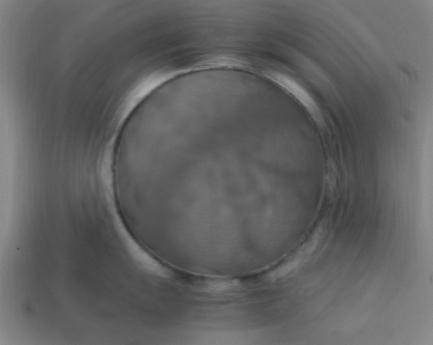 X0000113781055200910071220