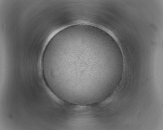 X0000113781056200910071220