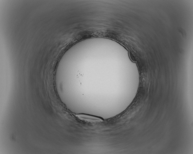 X0000113781057200910071219