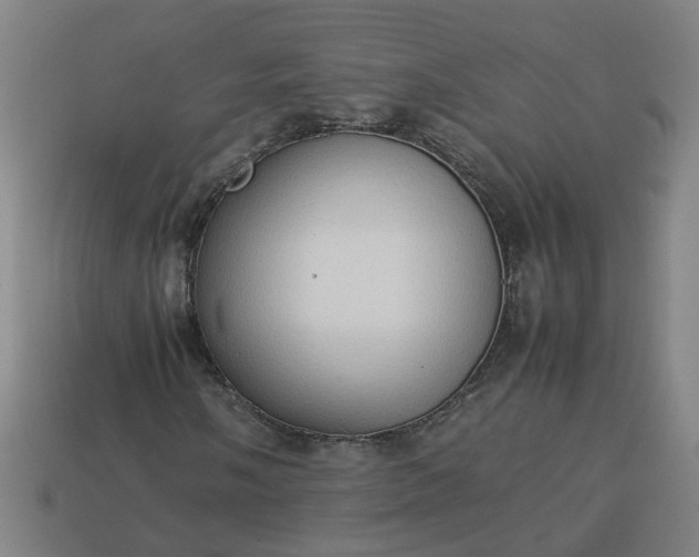 X0000113781058200910071219