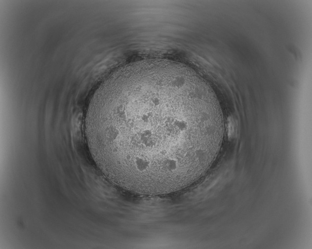 X0000113781059200910071219