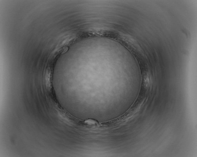 X0000113781060200910071219