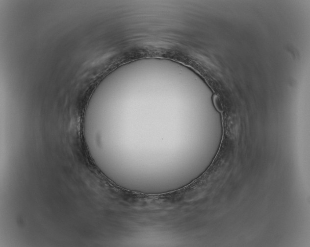 X0000113781061200910071219