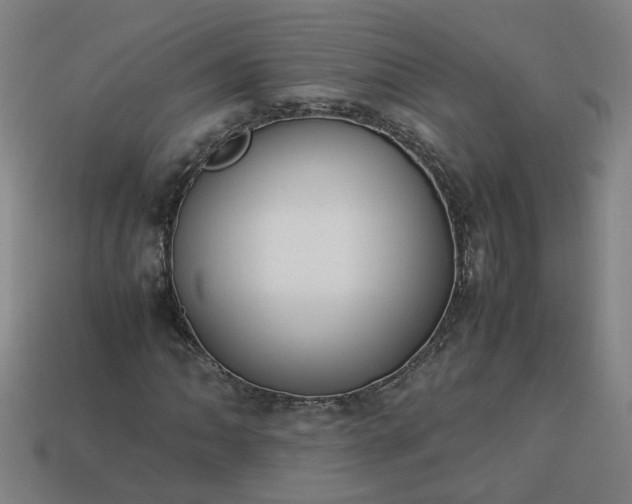 X0000113781062200910071219