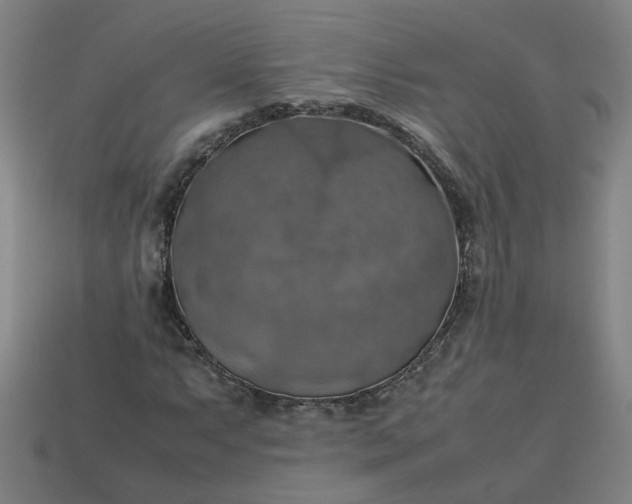 X0000113781063200910071219