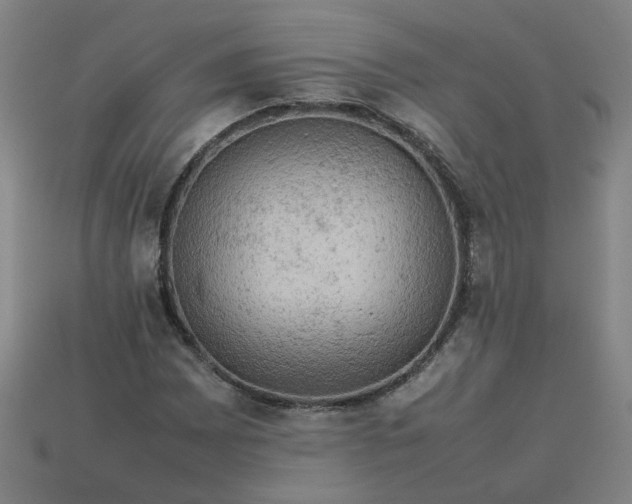 X0000113781065200910071219