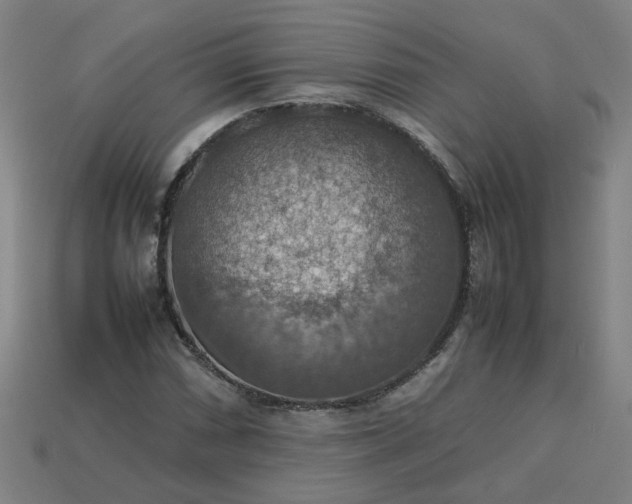 X0000113781066200910071219