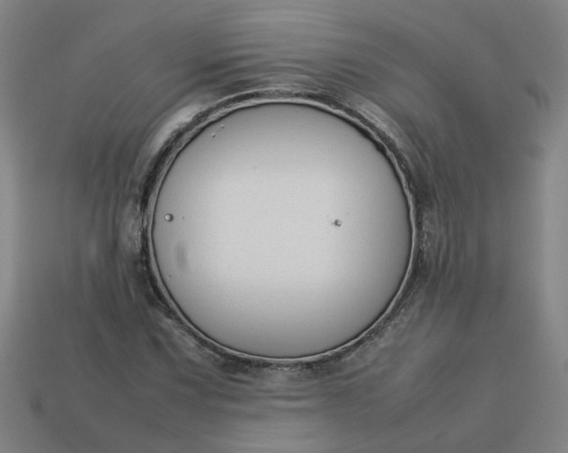 X0000113781067200910071219