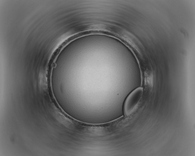 X0000113781068200910071219