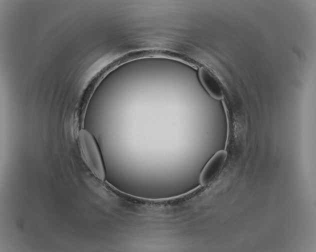 X0000113781069200910071219