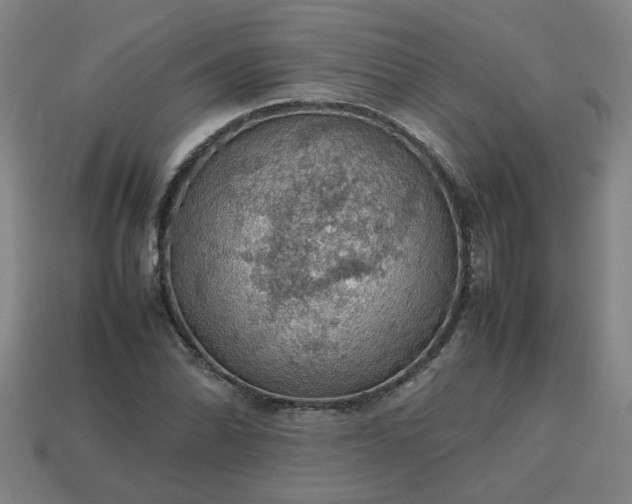 X0000113781070200910071219